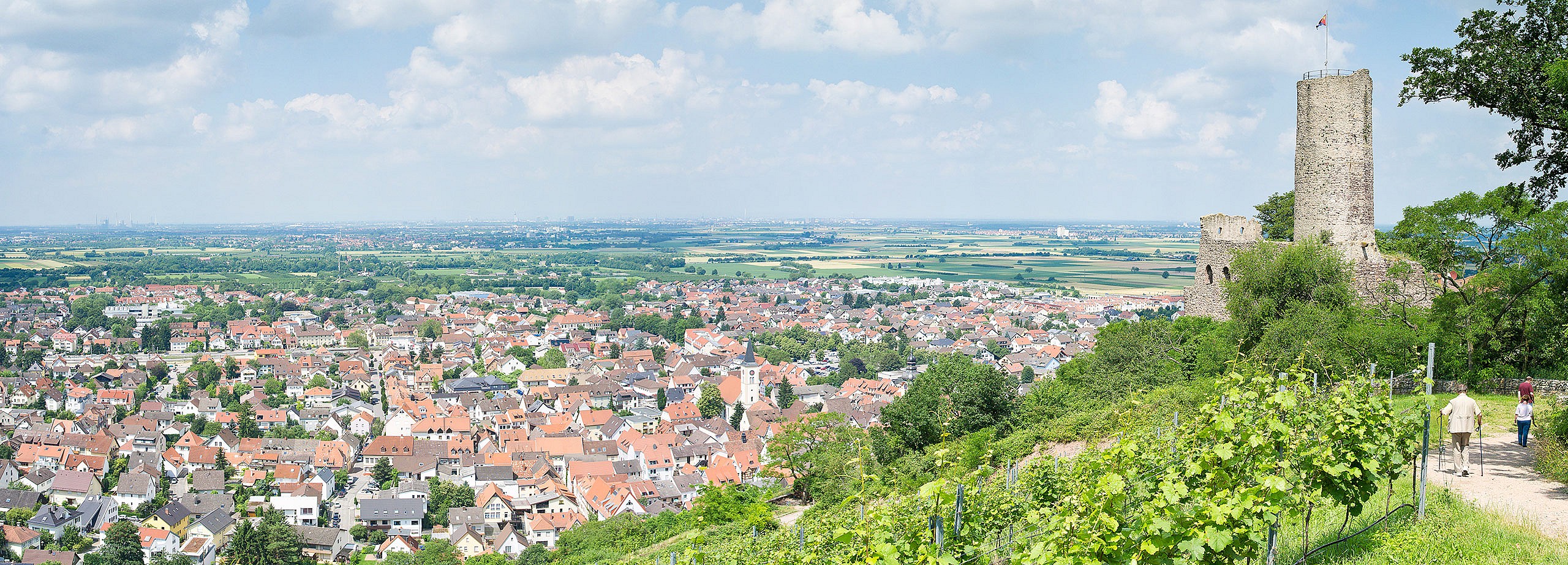 Symbolfoto zum Thema Landingpages/altbach
