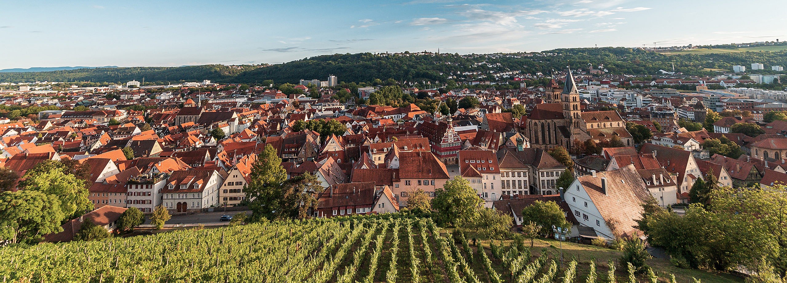 Symbolfoto zum Thema Landingpages/berkheim