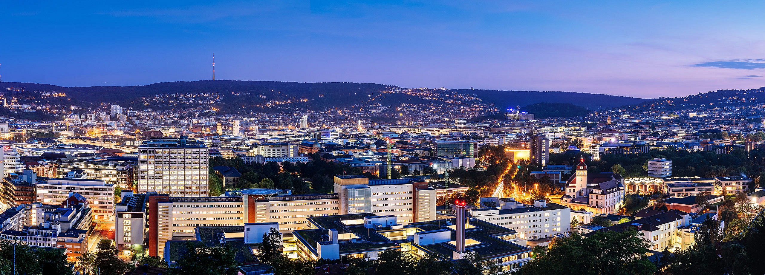 Symbolfoto zum Thema Landingpages/birkach