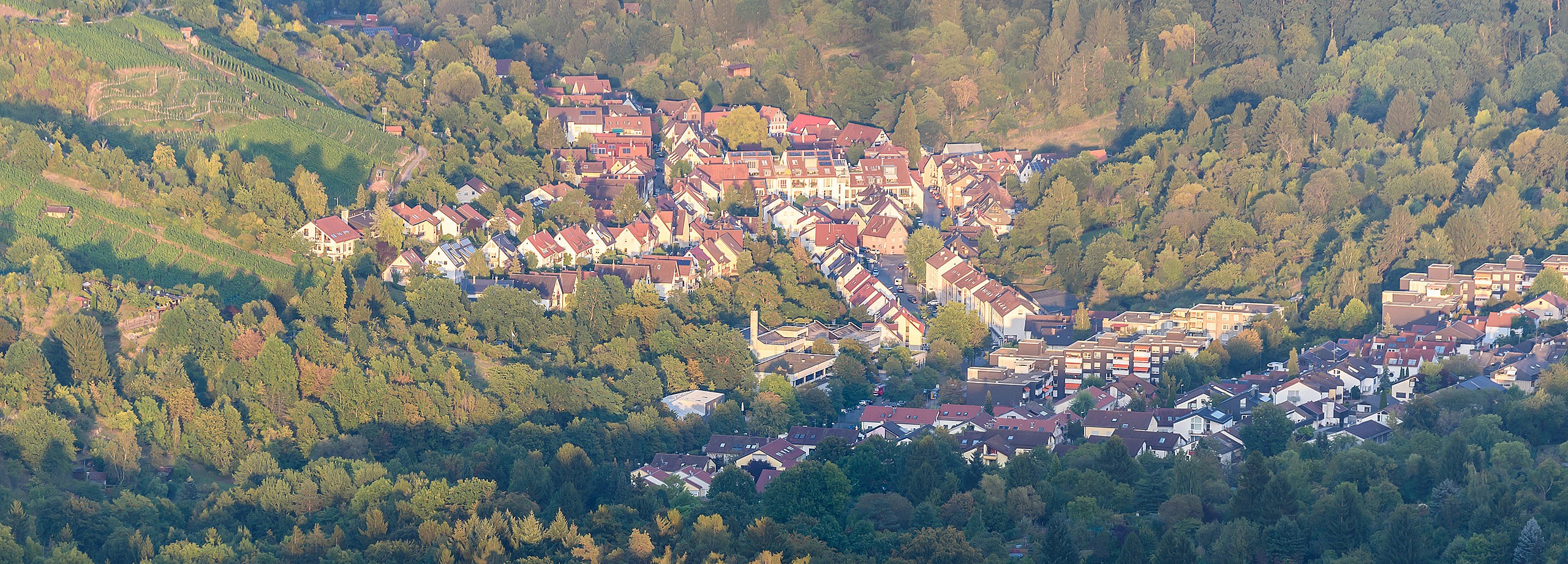 Symbolfoto zum Thema Landingpages/hedelfingen