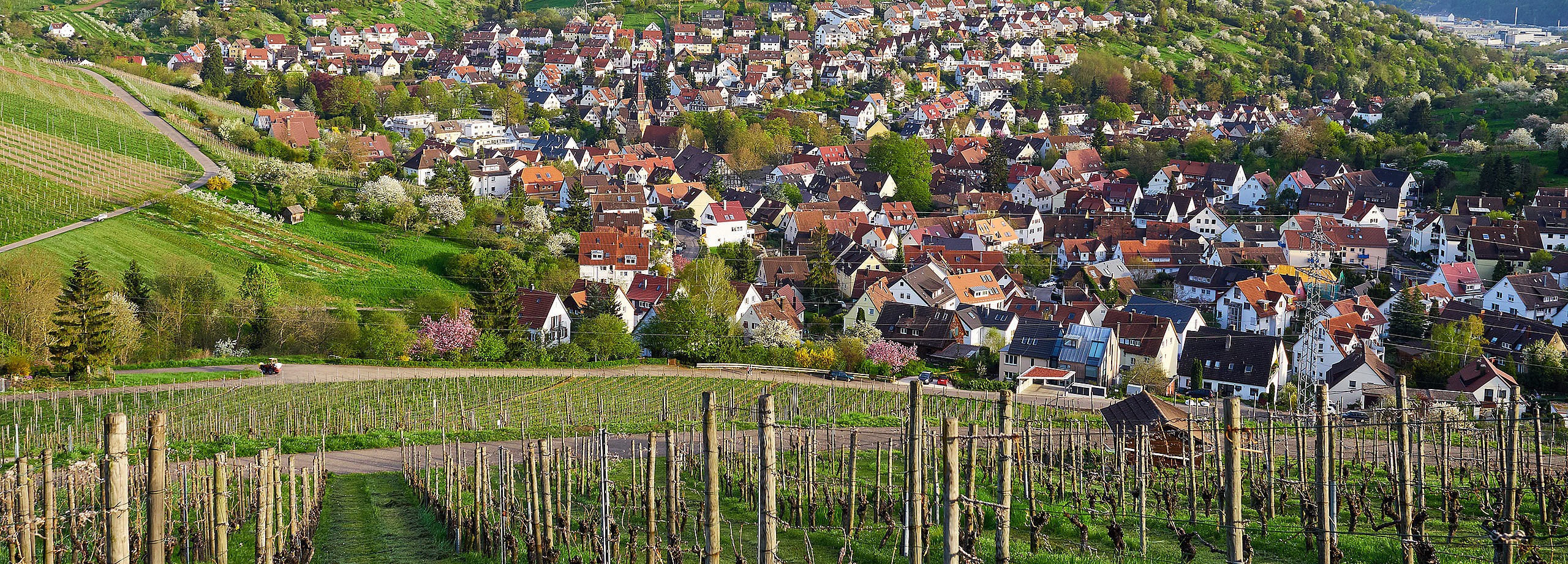 Symbolfoto zum Thema Landingpages/uhlbach
